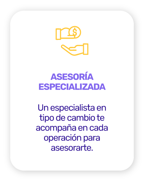 Web-Linkedin-CS-Nuevo-KV-01-B